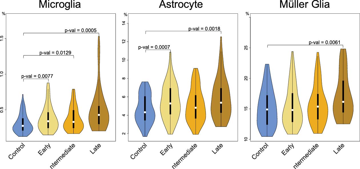 Violin plots comparing gene expression module scores across AMD stages in microglia, astrocytes, and Muller glia