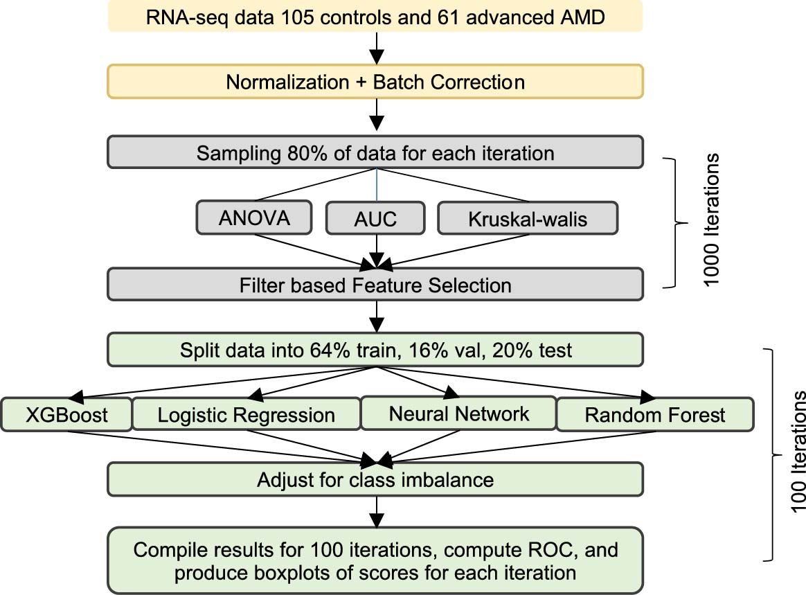 Machine learning workflow for preprocessing, feature selection, and classification of AMD transcriptomes